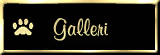 Galleri